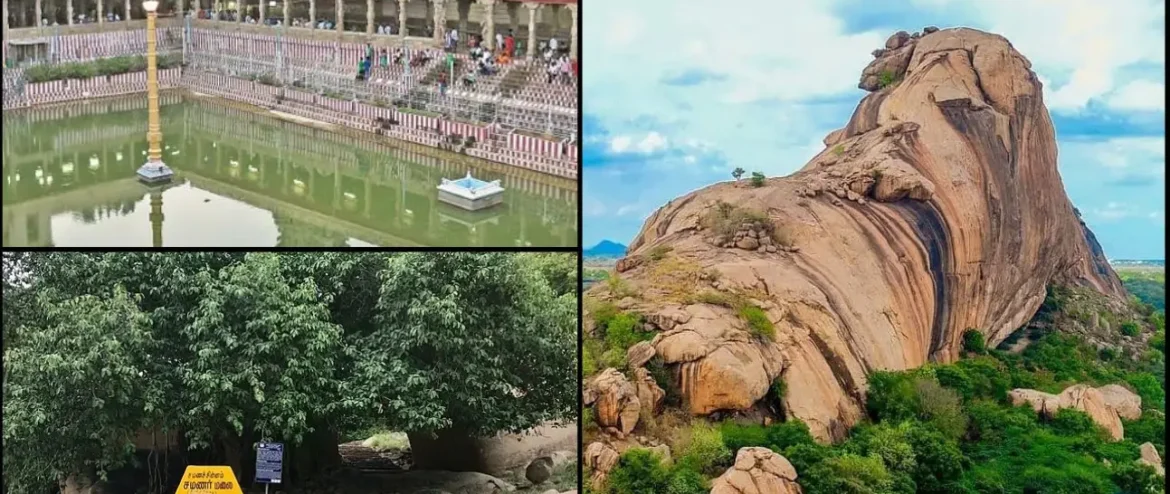 best car rental in Madurai