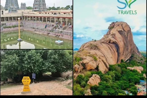 best car rental in Madurai